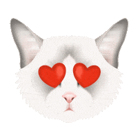 Love This Valentines Day Sticker by zoopeez