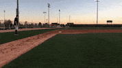 BeaverBaseball baseball oregon state oregon state baseball GIF