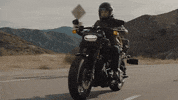Ride GIF by Harley-Davidson