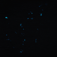 gif artist glow GIF by Erica Anderson