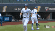 High Five Major League Baseball GIF by MLB