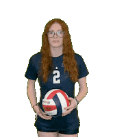 Womens Volleyball Sticker by Clarke University