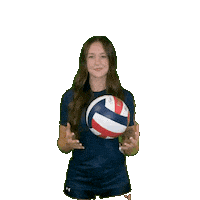 Womens Volleyball Sticker by Clarke University