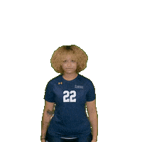 Womens Volleyball Sticker by Clarke University