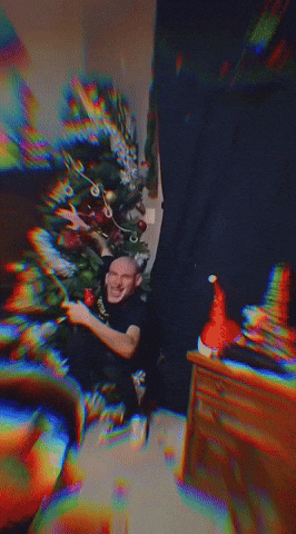 Christmas GIF by systaime