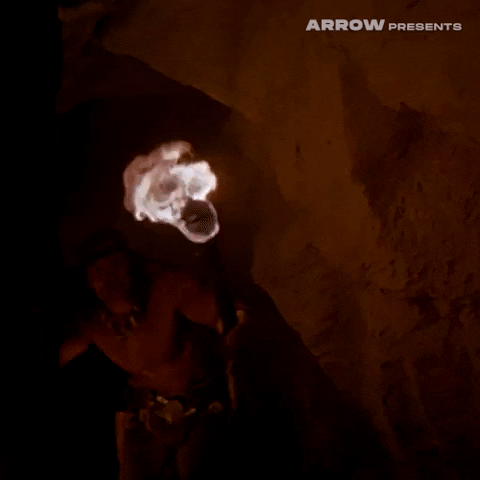 Arnold Schwarzenegger Film GIF by Arrow Video