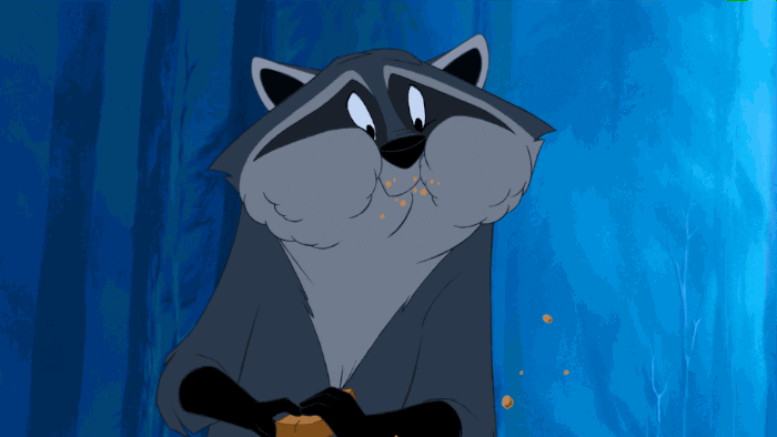raccoon snacktime GIF by Disney