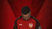 Stuttgart GIF by Bundesliga