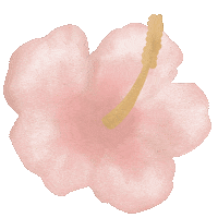 Pink Summer Sticker