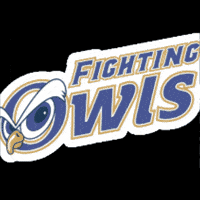 Aip GIF by Academia Interamericana de Panama