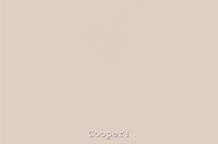 season 2 episode 10 GIF by Twin Peaks on Showtime