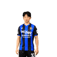 Football Soccer Sticker by Incheon United FC