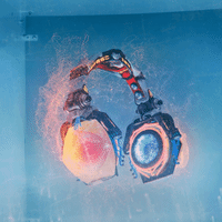 k-391 mystery GIF