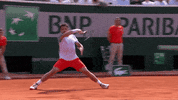 france sport GIF by Roland-Garros