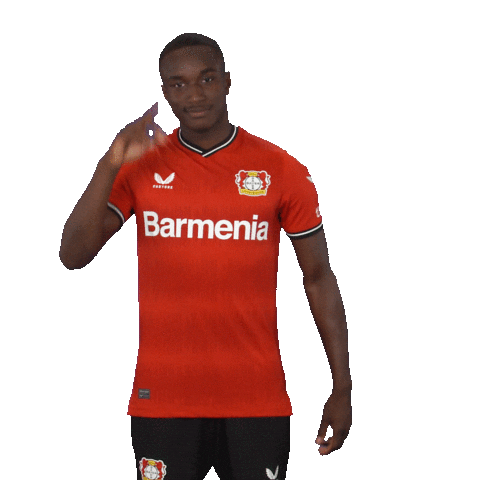 Football Wondering Sticker by Bayer 04 Leverkusen