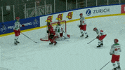 Happy Goal GIF by Champions Hockey League