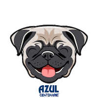 dog fiesta Sticker by Jose Cuervo