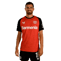 Bayer 04 Team Sticker by Bayer 04 Leverkusen