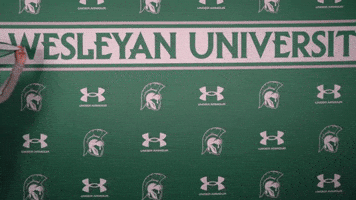 Iwuwvb24 GIF by iwusports