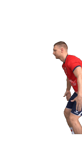 Handball Sticker by SG H2Ku