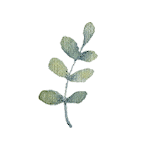 Plant Leaf Sticker