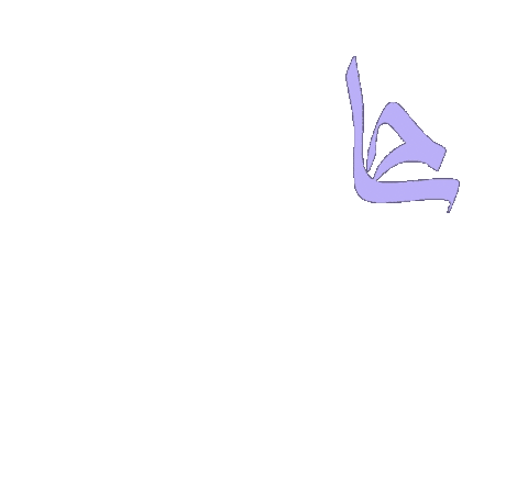 C Cam Sticker