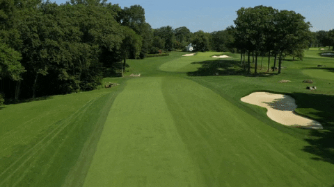 stephen_hennessey89 giphygifmaker GIF