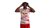 Happy Football Sticker by RB Leipzig