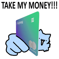 Cat Money GIF by sillynub