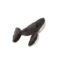 lifeatpacificlife pacific life whale Sticker