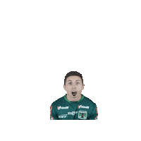 Pije Albiverde Sticker by Club Deportes Temuco