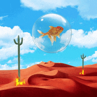 lemosrockstar art fish bubble collage GIF