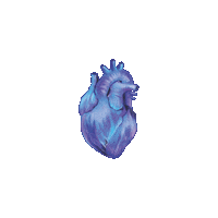 Sticker by icmsbg