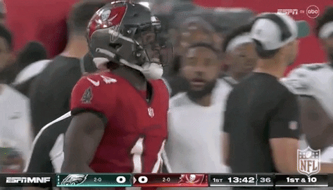 National Football League GIF by NFL