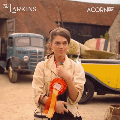 The Larkins GIF by Acorn TV