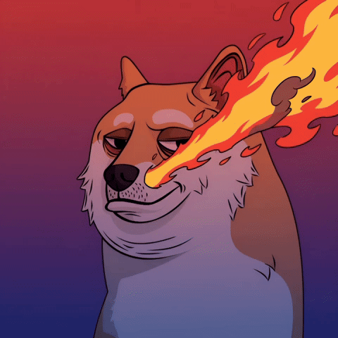 Shiba Inu Dog GIF by Doge Pound