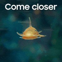 Fun Love GIF by samsung_de