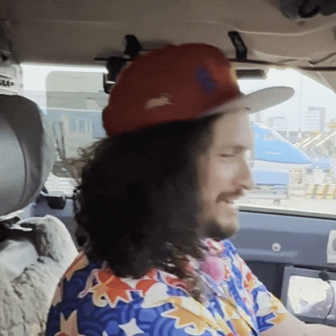 Goosify giphyupload happy goosify goose dunlavey GIF