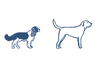 Dog Hello Sticker by Butternut Box