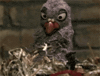 GIF by Giphy QA