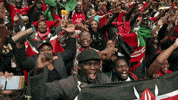 rugby sevens crowd GIF by World Rugby