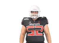 Football Nfl Sticker by Les Dauphins de Nice