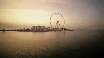 Side Effects Lb GIF by D-Block Europe