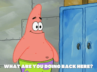 season 6 gullible pants GIF by SpongeBob SquarePants