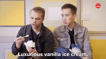 Luxurious Vanilla Ice Cream