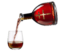 celebrate turn up Sticker by D'USSÉ