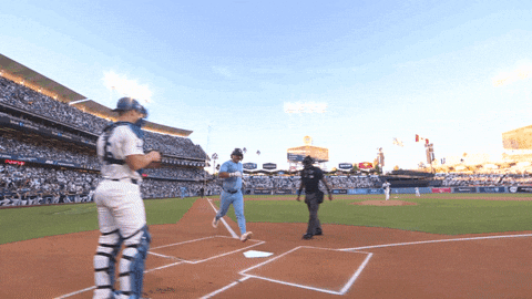High Five Home Run GIF by Toronto Blue Jays
