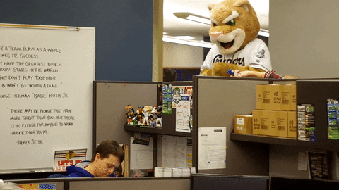 baseball surprise GIF by Kane County Cougars