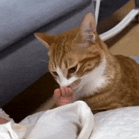 Excited Joy GIF