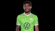 Sport Reaction GIF by VfL Wolfsburg